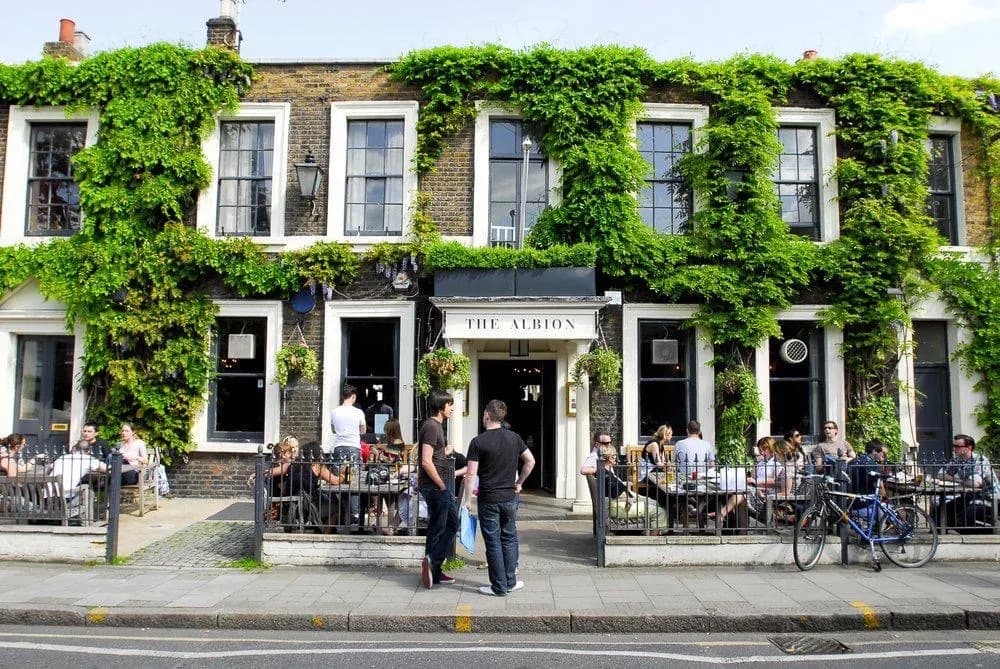 The Albion pub